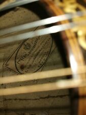 Mandolino napoletano del usato  Avigliana