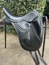 Sue carson dressage for sale  SPALDING