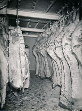 comptoir frigo boucherie d'occasion comptoir frigo boucherie d'occasion Expédié en Belgium