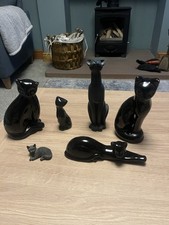 Collection black cat for sale  WIGTON