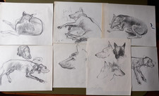 Giulio ruffini disegni usato Giulio ruffini disegni usato  Faenza