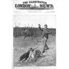 Dog coursing slipping for sale  GLASGOW