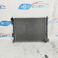 Radiatore acqua hyundai usato  Acerra