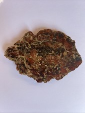 Vtg petrified wood for sale  Forney