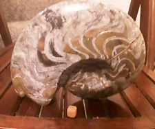 Huge goniatite ammonite for sale  FOLKESTONE