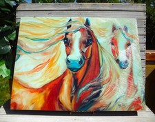 Marcia baldwin equine for sale  Grants Pass