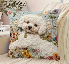 Super soft bichon for sale  HALESOWEN