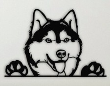 Décoration murale husky d'occasion  Montmerle-sur-Saône