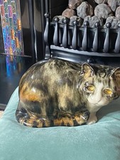 Winstanley tabby cat for sale  NORTHAMPTON