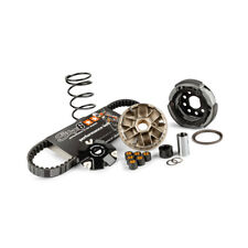 Kit variatore cinghia usato  Italia