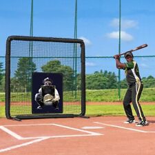 Life size baseball for sale  Port Saint Lucie