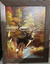 Powerful large colorful for sale  Fallston