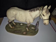 Best breed irish for sale  TEWKESBURY