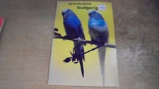 Raise train budgies for sale  Midlothian
