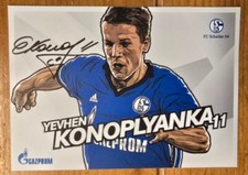 Yevhen konoplyanka schalke gebraucht kaufen  Bottrop