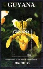 Fleurs orchidées guyana d'occasion  Lésigny