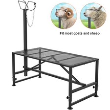 Livestock stand goat for sale Livestock stand goat for sale  LEICESTER