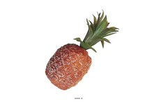 Ananas artificiel petite d'occasion  France