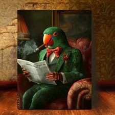 Male eclectus parrot d'occasion  Expédié en Belgium