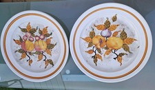 Plat tarte porcelaine d'occasion  Saint-Quentin-Fallavier