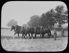 Photo farmers ploughing for sale  HAYLE