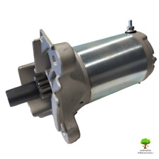 Motorino avviamento completo usato  Camaiore