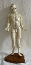 Body acupuncture model for sale  RADSTOCK