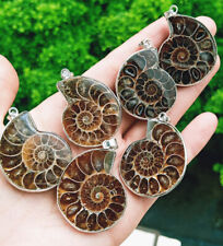 10pcs natural ammonite d'occasion  Expédié en Belgium