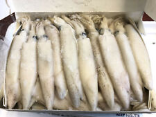Frozen sea fishing for sale  PORTSMOUTH