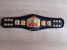 Wwe wwf european gebraucht kaufen  Glan-Münchweiler-Umland