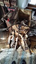 Horse harness antique for sale  Lemmon