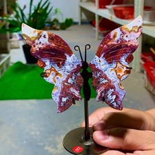 50g agata pazza usato 50g agata pazza usato  Spedire a Italy