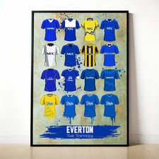 Everton painted shirt for sale Everton painted shirt for sale  DAVENTRY