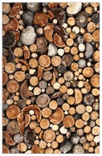 Wallario teppich fußmatte gebraucht kaufen Wallario teppich fußmatte gebraucht kaufen  Cottbus