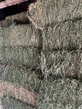 Hay bales for sale  Glendora