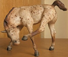 breyer foals for sale breyer foals for sale Saint David