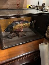 Vintage taxidermy style for sale  SWANSEA