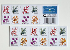 Pane winter berries for sale  New Hyde Park