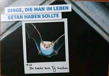 Postkarte nabu fledermaus gebraucht kaufen  Oldenburg in Holstein
