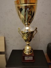 Grande coppa trofeo usato  Enna