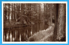 Spreewald partie hochwald gebraucht kaufen  Bad Schandau