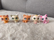 Authentic petshop chaton d'occasion  Laon