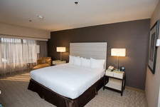 Hilton los angeles for sale  Los Angeles