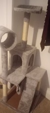 Pets home cat for sale  OXFORD
