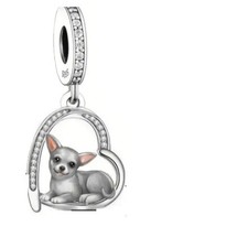 Chihuahua laying inside for sale  Columbus