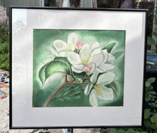 Brilliant original magnolia for sale  Houston