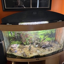 3ft curved jewel for sale  BARNSLEY
