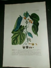 art etching original for sale art etching original for sale Cleveland