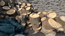 Tree stump different for sale  LANCASTER