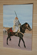 Pferd postkarte horse gebraucht kaufen  Berlin